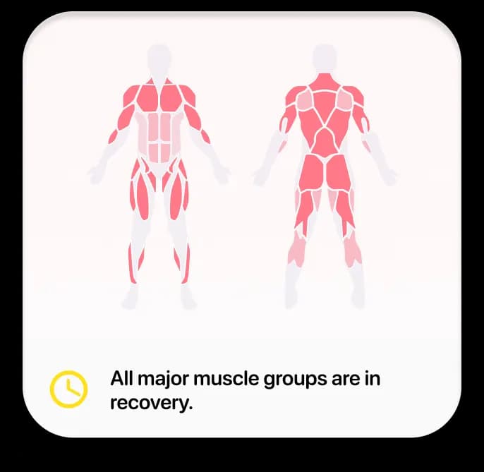 Muscle Recovery Tracker